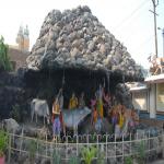 Vraj-Yatra-2014- (384)